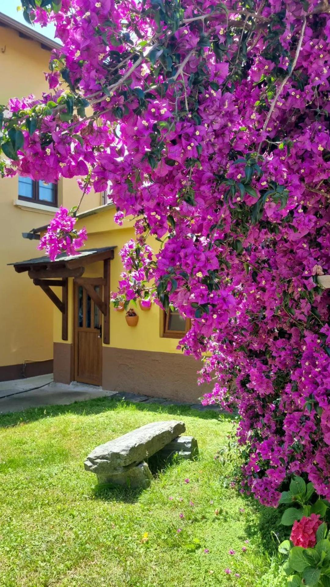 La Quintana De Figares Daire Luarca Dış mekan fotoğraf